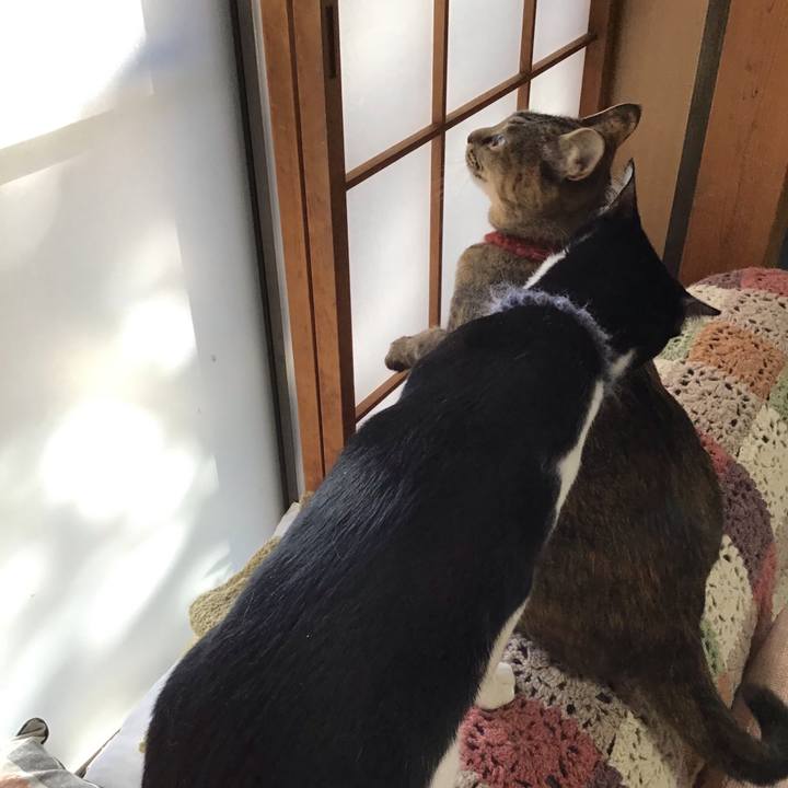 Ae77ed86 ee26 4783 8e14 4eb6312931be 1642037489030