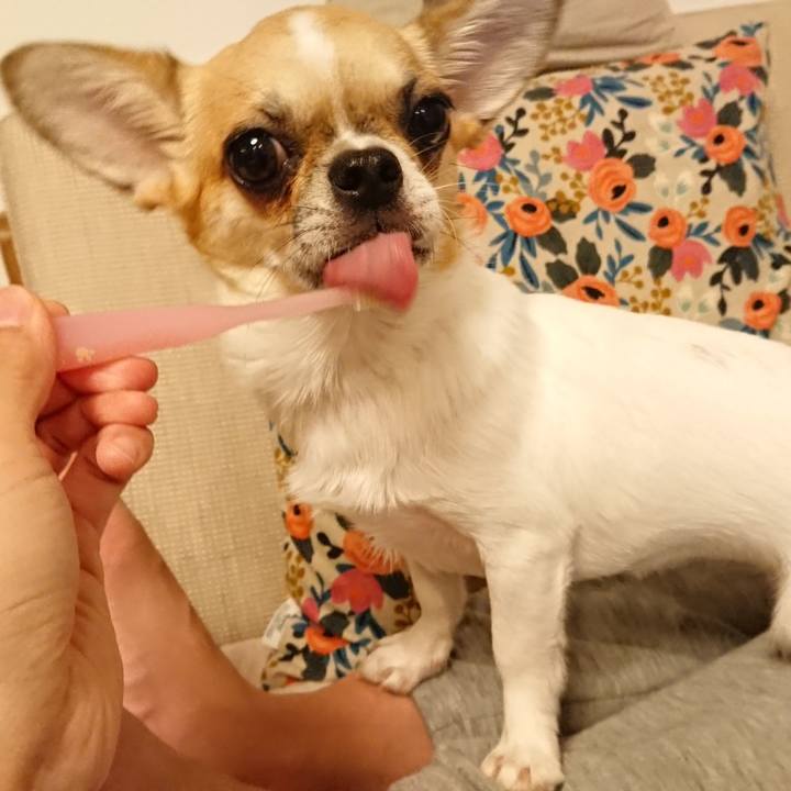 Ae77f451 053d 486e 84a4 8b3287928163 1562667925144