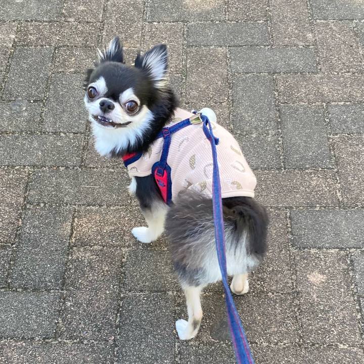 Ae78156e 2849 400a 8b49 7e4b34191c2a 1697166424557