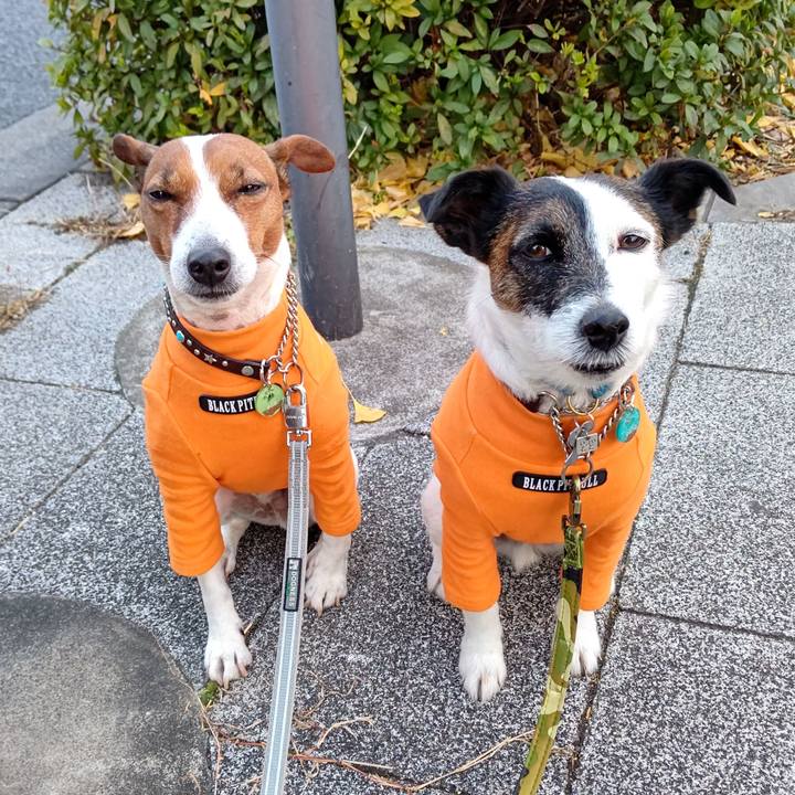 Ae781c6c 1472 487f ba2d 6cc7e59a22c2 1672180860608