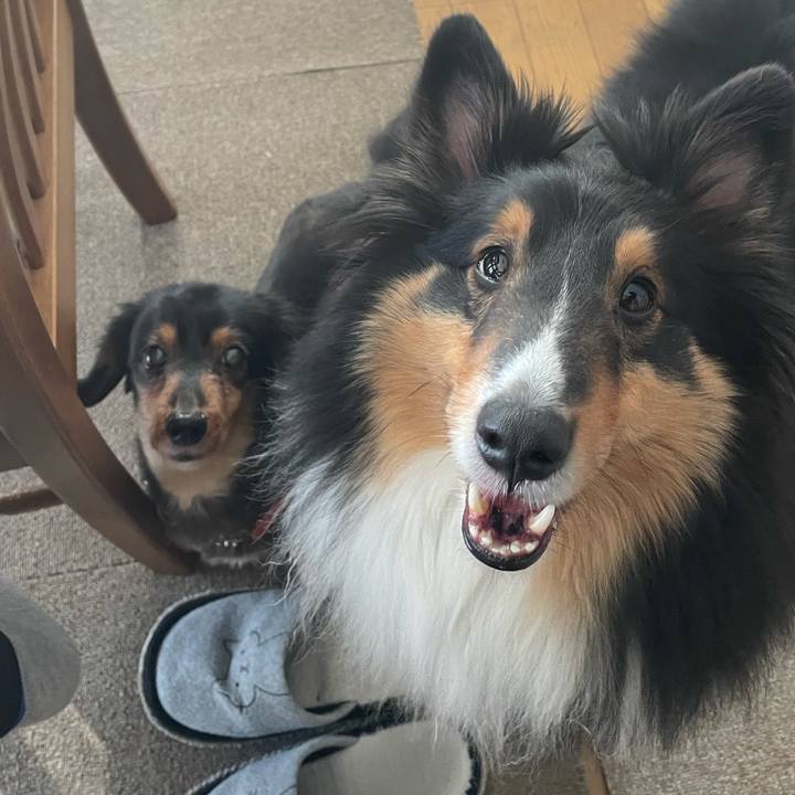 Ae78241d 30a7 4ae1 a979 42f37268d831 1618438023969