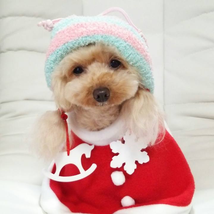 Ae783fe9 e354 4ee7 9c81 887ee4f2a23c 1544100525318