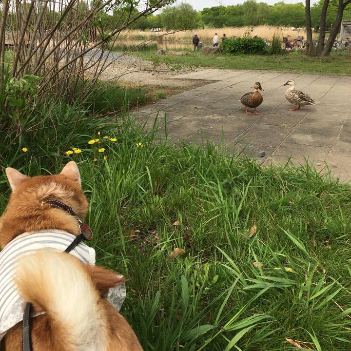 Ae784a51 3b01 46ff a7eb 892ae7e01a3c 1524117025683