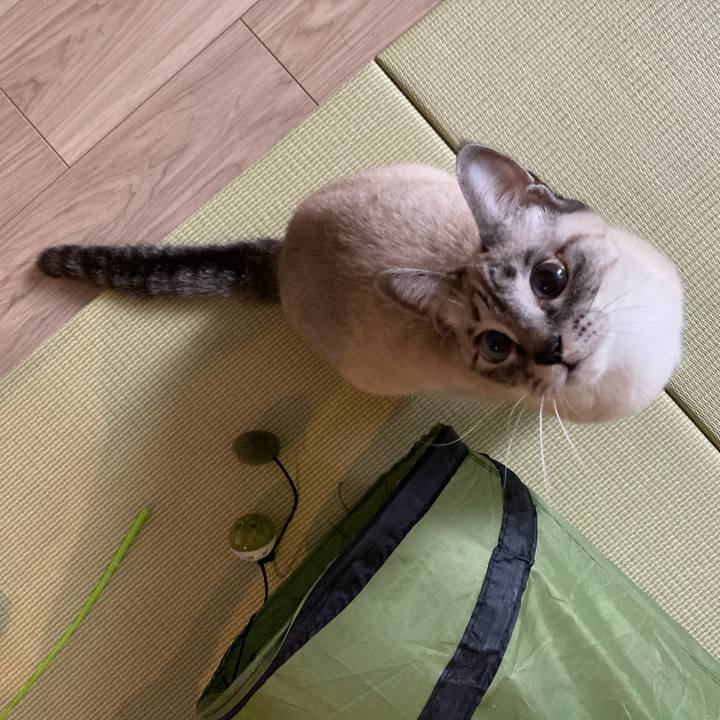 Ae78571d 3829 43e9 b200 0f1d199a3999 1607557648056