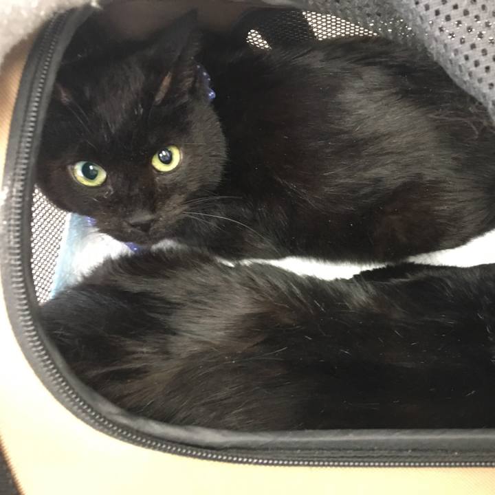 Ae78840f 17a6 4f0c ab1c 3a36c3a4991e 1551494331680