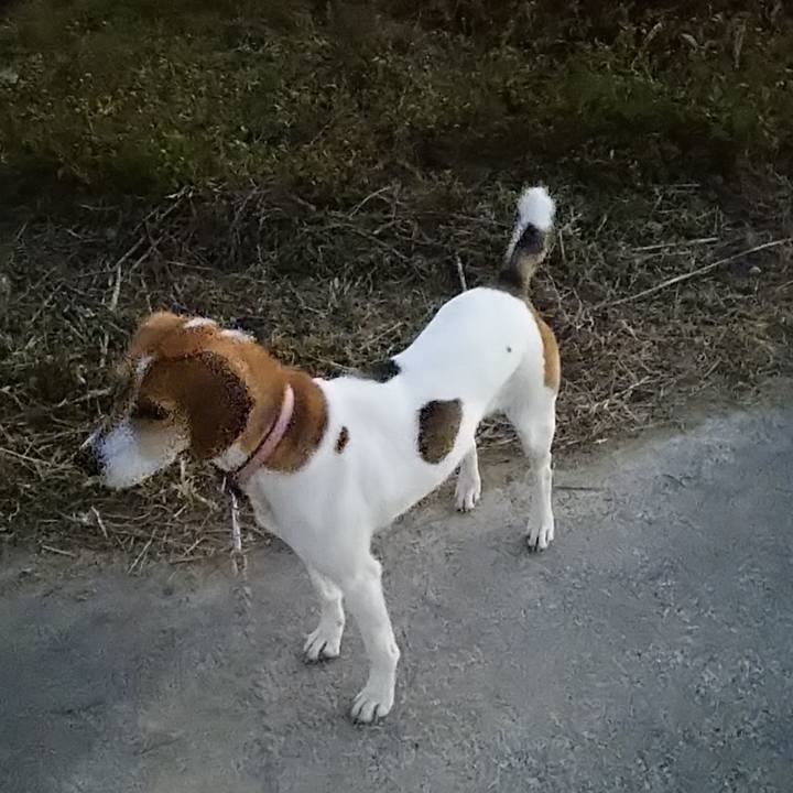 Ae78d289 652e 45b3 abf1 9e8ea8284b98 1576498993795