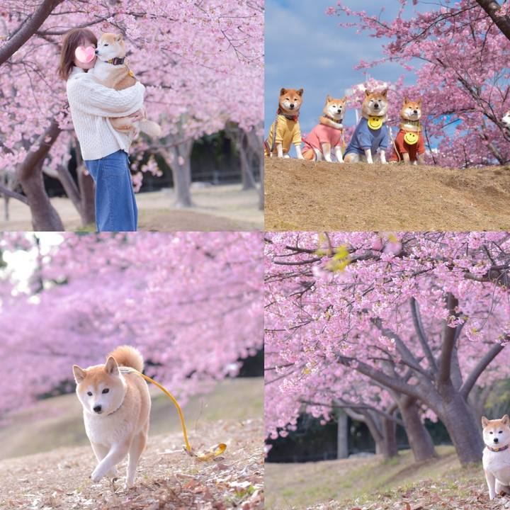 Ae78ffa3 335d 458b 9869 7cfcbbad08ad 1709912942269