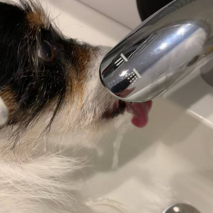 Ae796b59 10e7 45fd a6c3 6985c01fcfd4 1714029801981