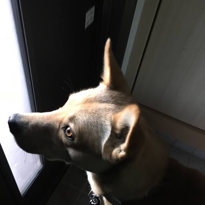 Ae79ace5 29b1 4ed5 98b6 dfe64a890366 1514962207764