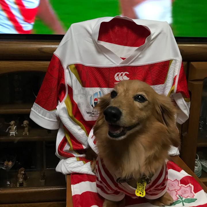 Ae79bc0b 6987 4f9e a148 e1cb0e81f713 1571566653193