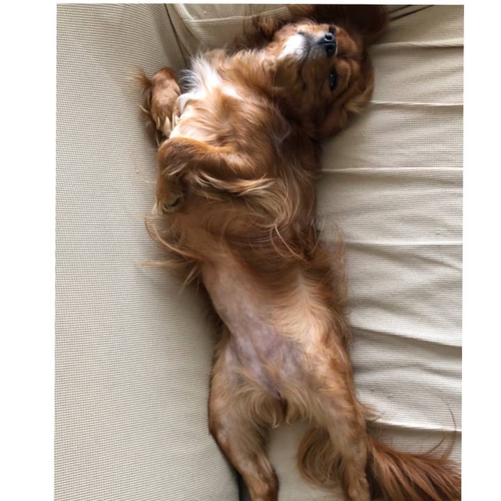 Ae79c772 f4dc 4183 a80b f43032d0cdeb 1559432847533