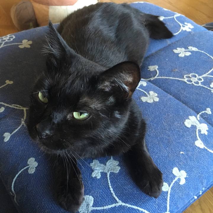 Ae7a1e66 37aa 4efc 9e13 e85ca7fa6c96 1533111170155