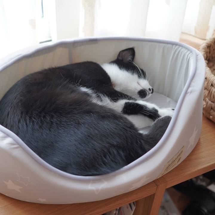 Ae7a3e3f 7e98 458b ae58 beba0123b044 1592836777461