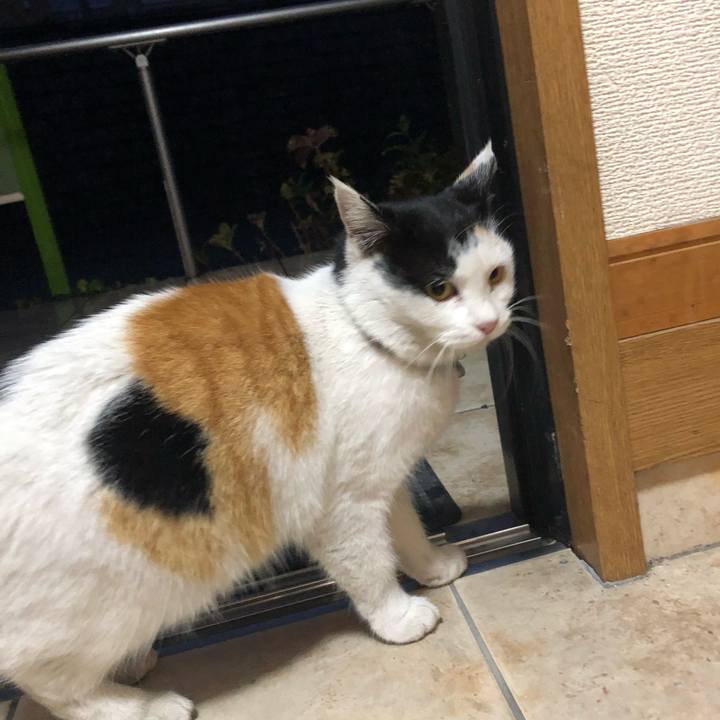 Ae7a42a0 2e53 44a7 a4f1 7046ac64f8f7 1608762847241