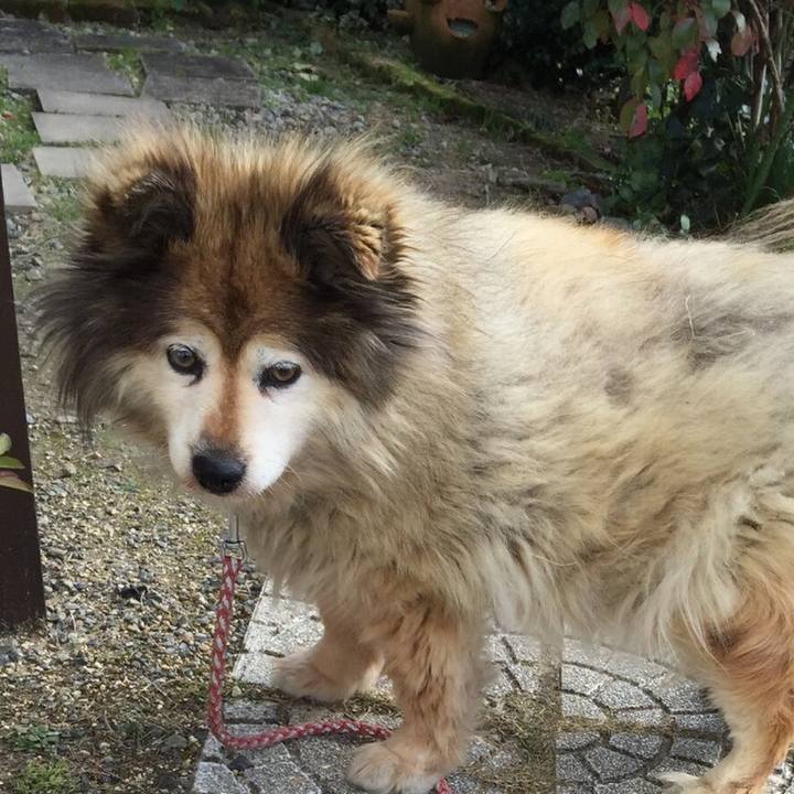 Ae7a4bb6 85d1 423d ae9c 2b557c6e6673 1603001016245