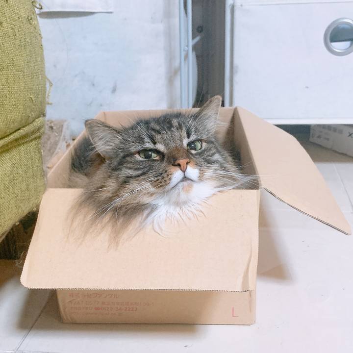 Ae7a76c7 a333 4e33 84b9 3e31a65d9616 1600949827063