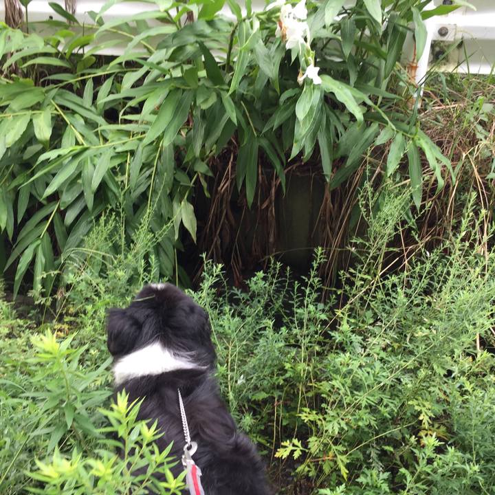 Ae7a796b 3e73 48c8 8fc8 7e645158c977 1568335053346