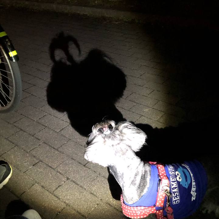 Ae7a98b8 3fd4 4a21 946d 1550c5b9ec46 1551093231226