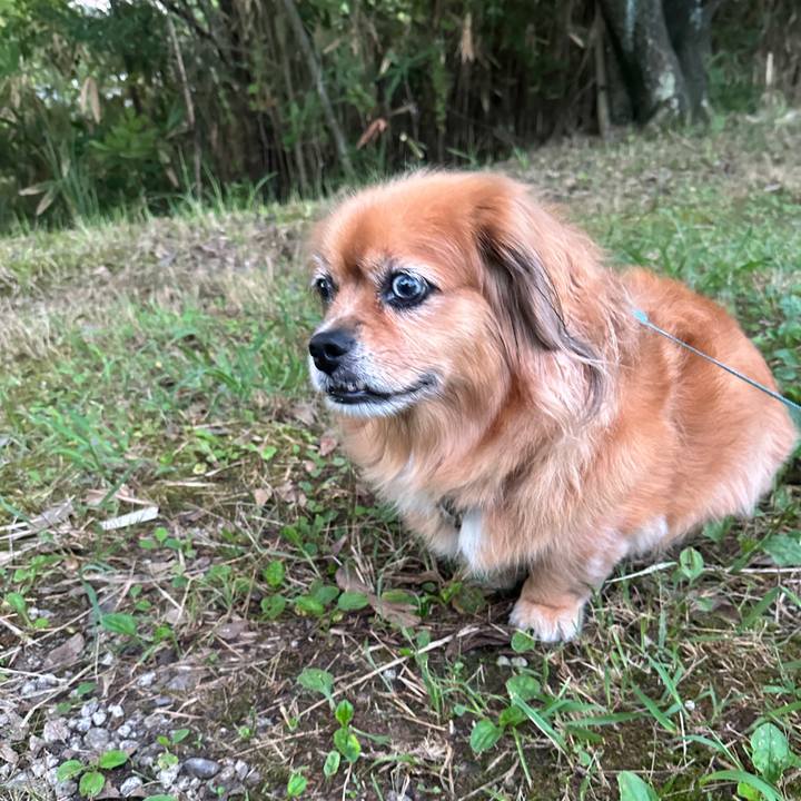 Ae7ac2ec bcb2 413c be3e 0ab038f1521e 1725828609550