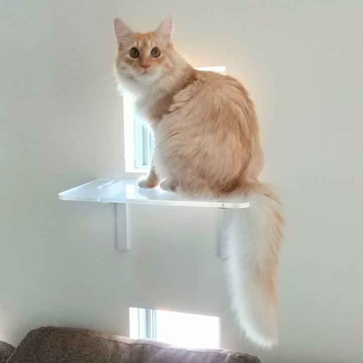 Ae7aee92 99e0 40e4 b20f a0f85c7feac1 1623467146285