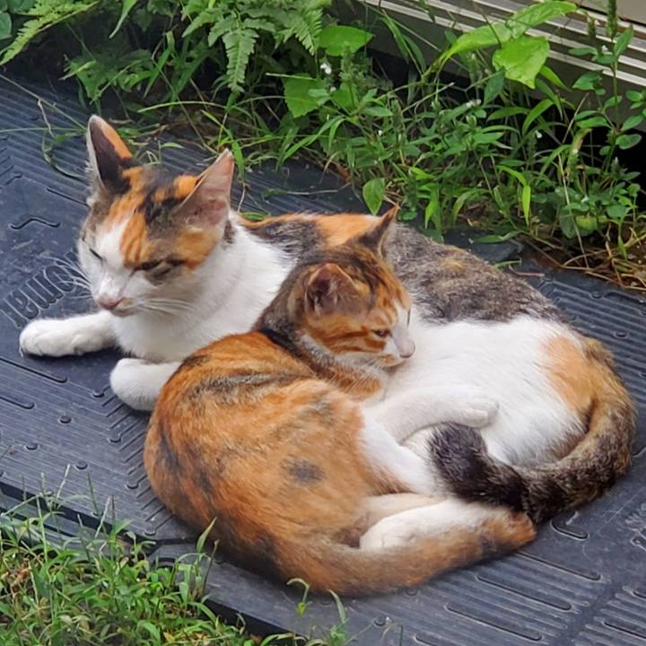 Ae7b3ccb e10f 4e6b bd32 9d1a98f1df75 1727744388157