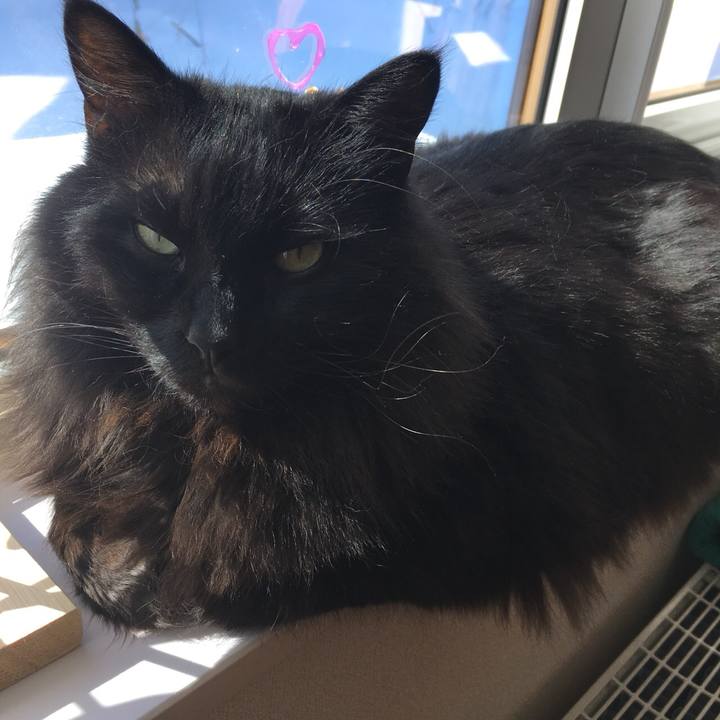 Ae7b9e9b 3107 4208 8f41 cfe859227b7c 1551269038049