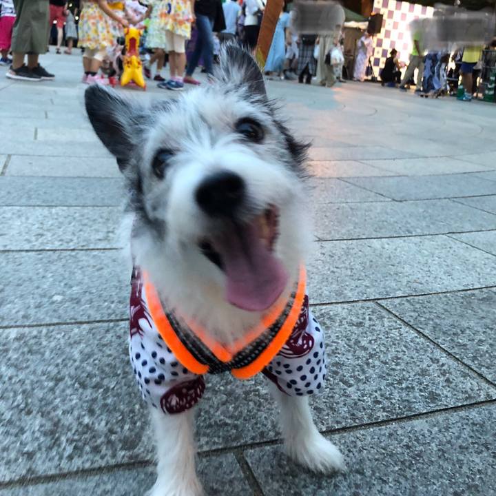 Ae7bb4ba c5e7 41c0 b441 78f46b3f3a3b 1566649758282