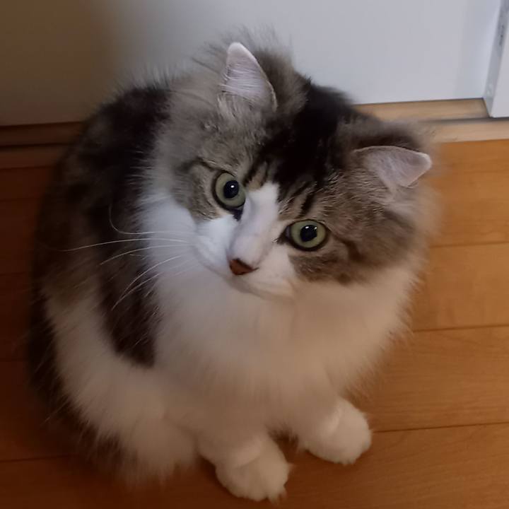 Ae7c28c1 d23d 4e20 bf10 1e472e7993bc 1646946824224