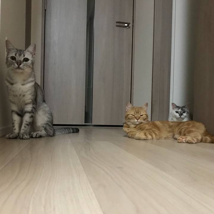 Ae7c362e 873e 4d61 abc4 52733da5b891 1532696403247