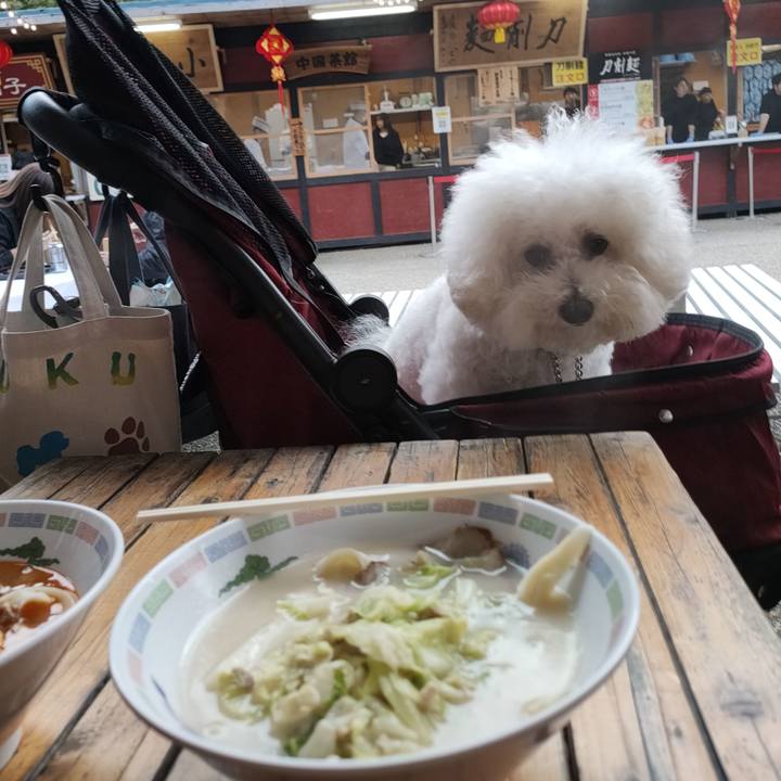 Ae7c46a3 8671 4207 9ac6 15ad9134c9c3 1762315881470