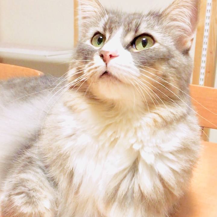 Ae7c4d4e 14a3 447d 8e84 f04542b6fed1 1547749493222