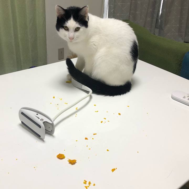 Ae7c595e dbb7 484d 9be1 480b9404152f 1549948996464