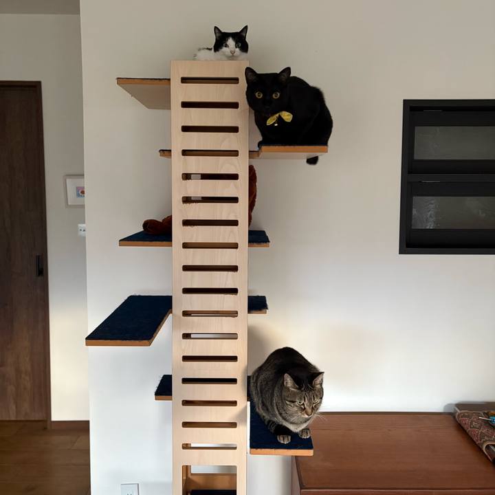 Ae7c7ef3 71b5 4c93 8a47 41675d3d7d52 1764541682971