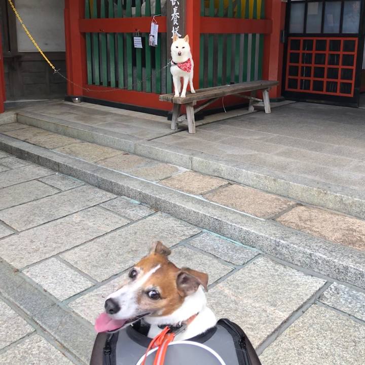 Ae7c9aac cd6d 491f a656 d43663ff13ad 1529236487496