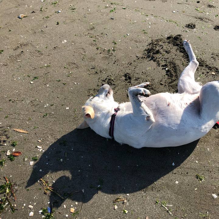 Ae7ca2ce 9c01 4f3c 8bbc f1a0a767093d 1653788874546