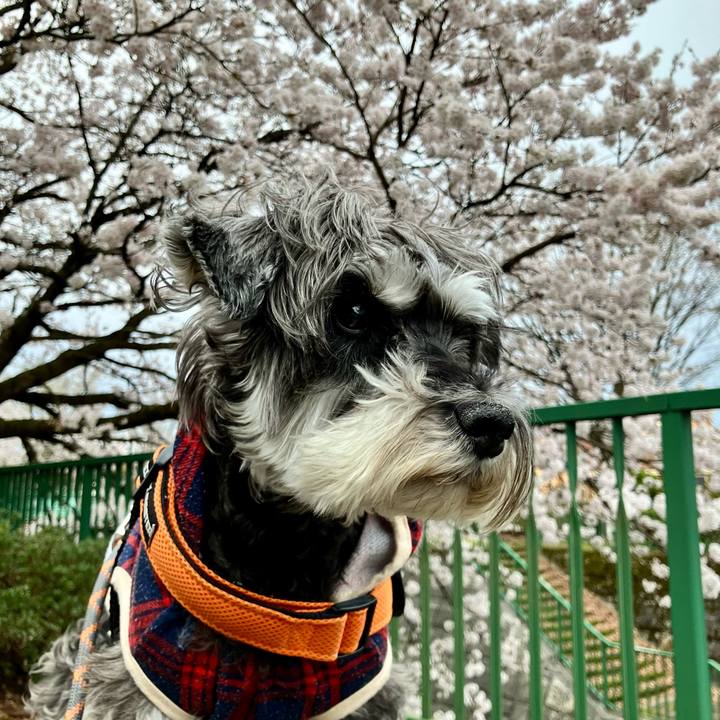 Ae7cb436 50dc 4be9 a866 7fac9a8d6c42 1775266199369