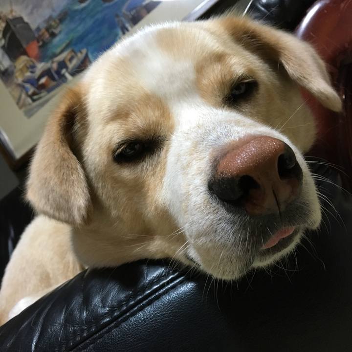 Ae7ccfb8 9eda 42a8 89d3 4b9375d90f67 1528647524556