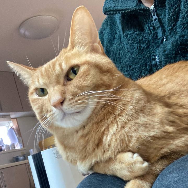 Ae7cd418 fd6e 4007 9acf 187396b2da8d 1772326332624