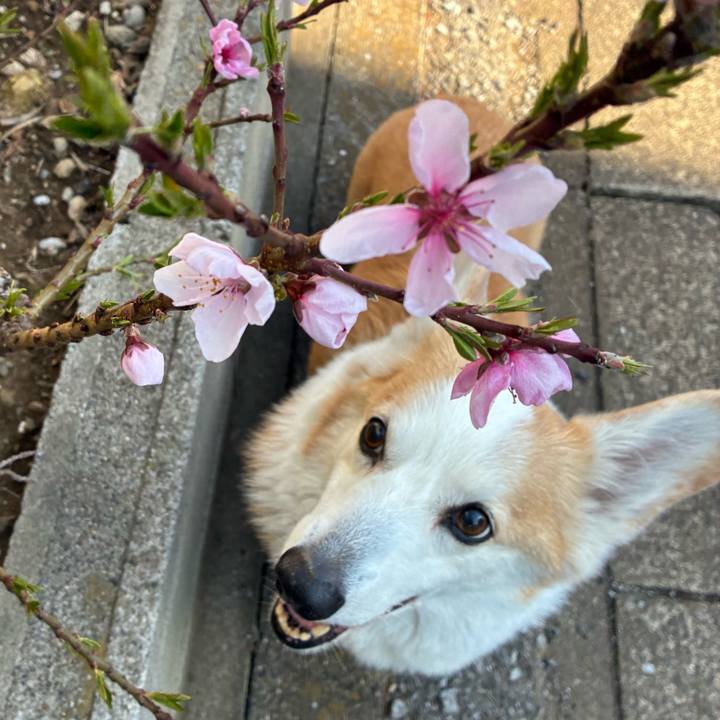 Ae7d0698 568d 46fb 9f79 7ca1c623e007 1774321534694