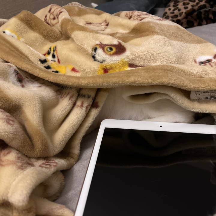 Ae7d150d 1412 4573 aa13 9e68e71b3242 1767991371472