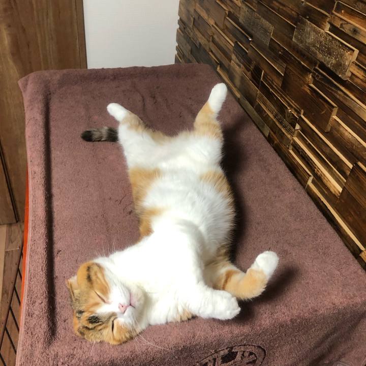 Ae7d1520 5056 4904 b85f 044291ea8543 1622730077165