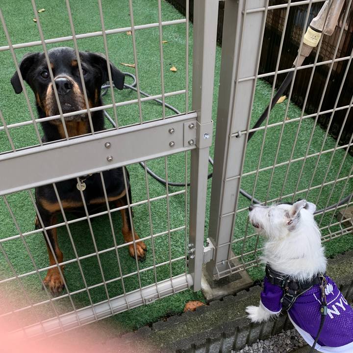 Ae7d1c46 e79a 4f1f a321 1ef192bd4e88 1728085305124