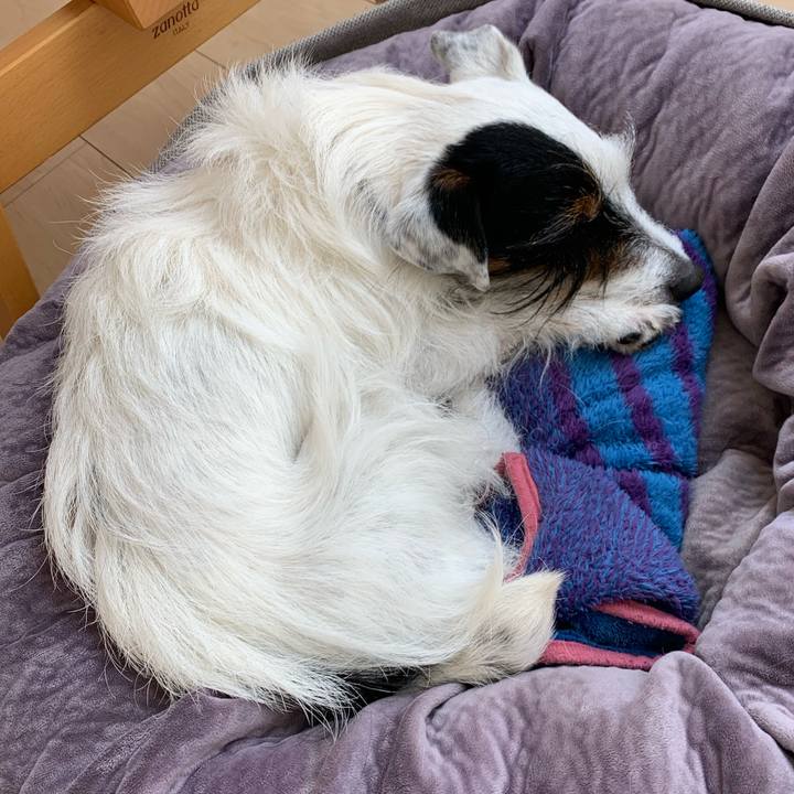 Ae7d2a80 42c6 42bd a3c3 63c637aae5ba 1646800927501