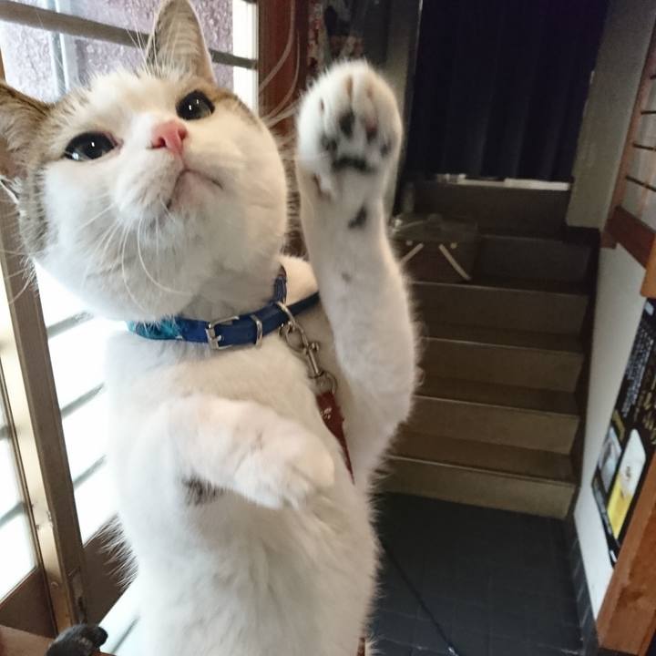 Ae7d2c90 d7d8 4840 869c a9092c1470c5 1574222055701