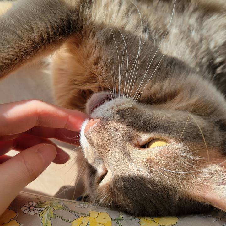 Ae7d3262 fd4d 4c2f 8938 980d80bd8309 1636168900812