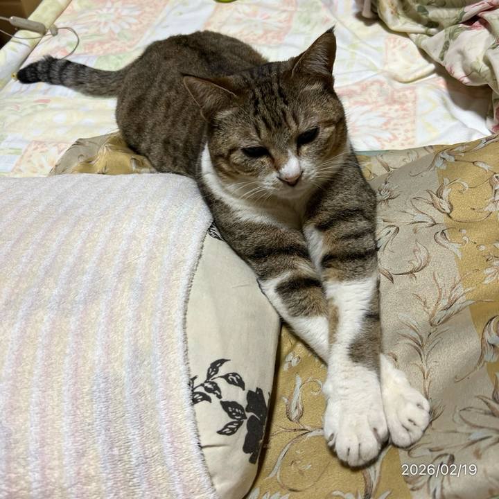 Ae7d3dd8 b5d3 4e6c a47e 02a83437aeba 1771451945170