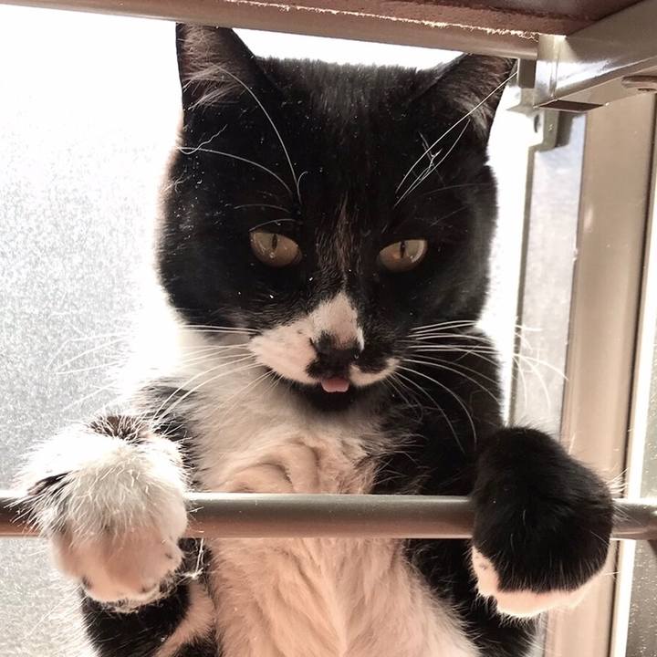 Ae7d489f 56f4 44d6 b8a6 abad97f483cb 1615520324927