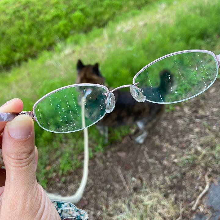 Ae7d6ff8 9add 410d 93ad 657bbc41364a 1652337498257