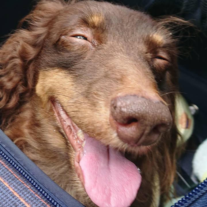 Ae7d8432 05a3 43a9 b34b c8bf81790450 1759532112928