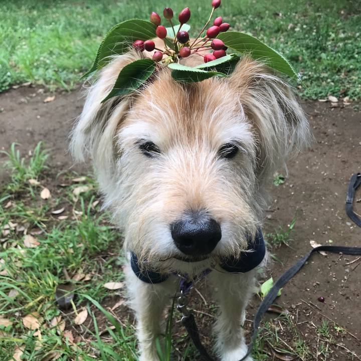 Ae7d906c 11e1 4107 b970 83cc71b90daf 1590038590417